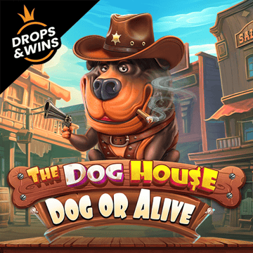 Screenshot del gioco PG Rocket: The Dog House Dog or Alive su Gekobet